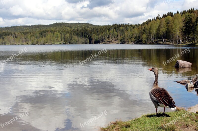 Oslo Nordmarka Sognsvann Visitoslo Rest