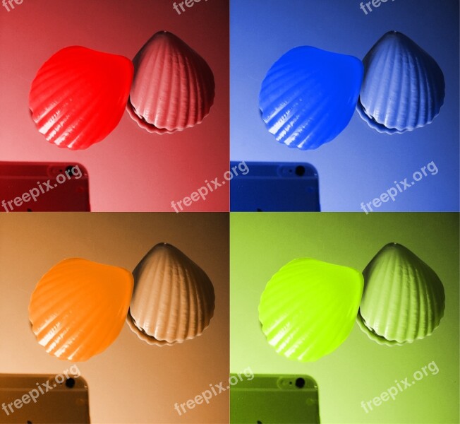 Mobile Phone Mussels Selfie Shell Colorful