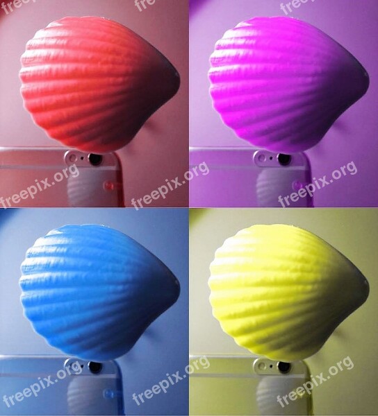 Selfie Shell Colorful Color Lichtspiel