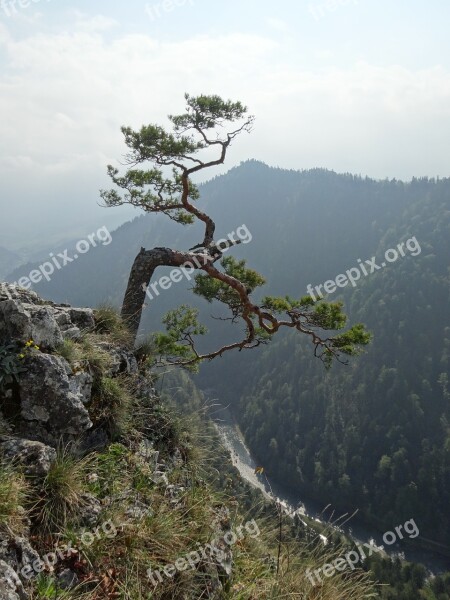 Pieniny Poland Mountains Sokolica Top