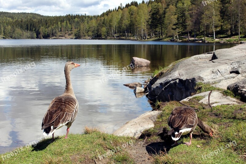 Oslo Nordmarka Sognsvann Visitoslo Rest