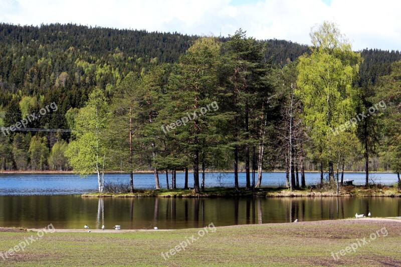 Oslo Sognsvann Nordmarka Visitoslo Romance