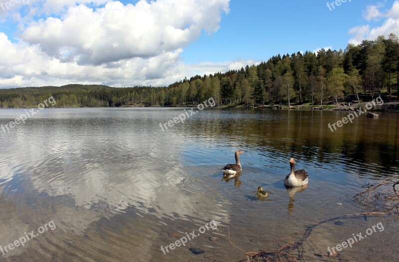 Oslo Sognsvann Nordmarka Visitoslo Rest