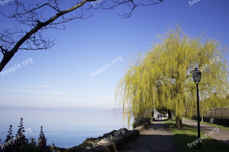 Montreux Swiss Switzerland Lake Sky