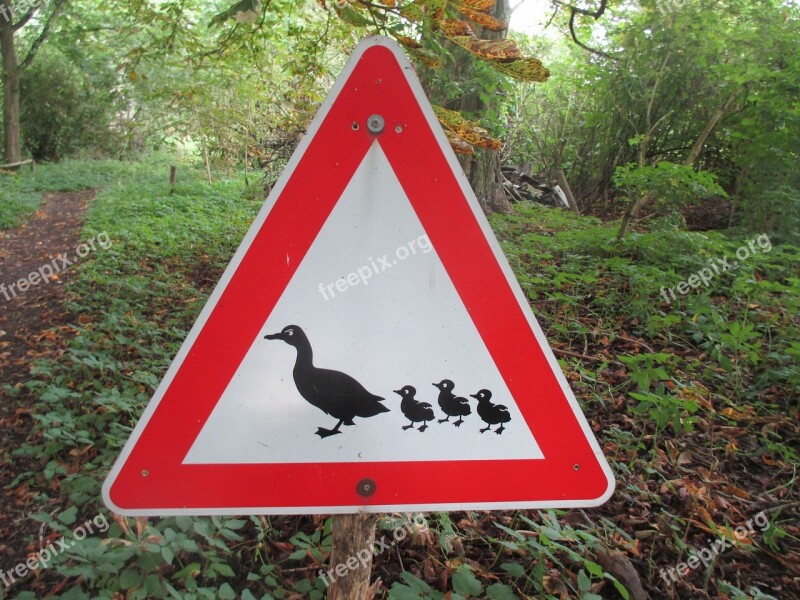 Traffic Sign Ducks Nature Conservation Nature Protect