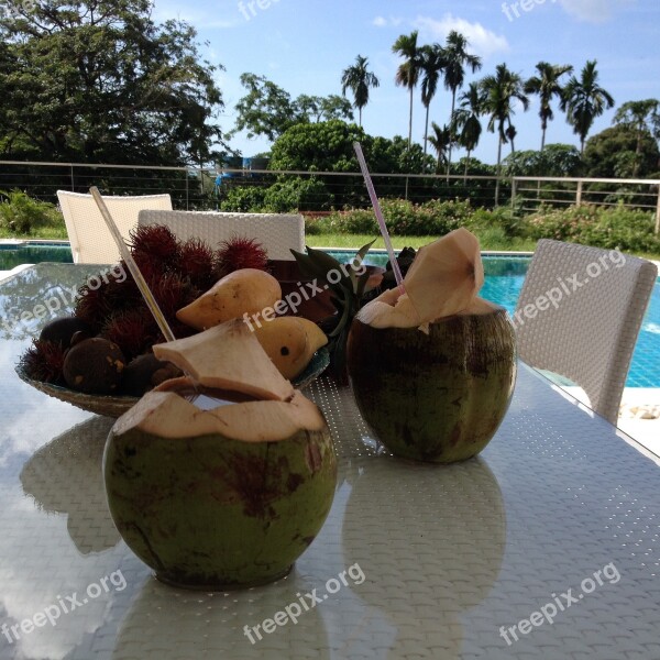 Breakfast Fruits Coconuts Mango Tropics