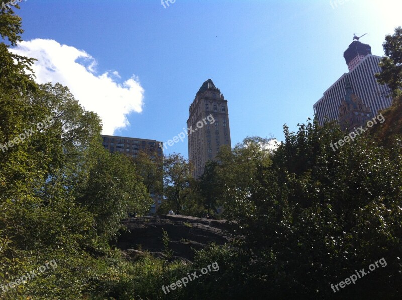 Central Park New York Building Nature Rest