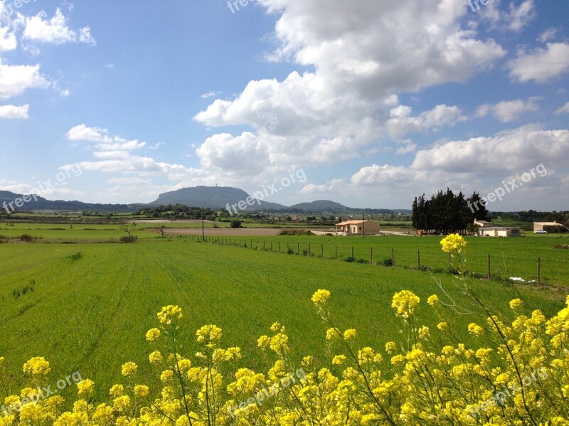 Mallorca Spring Bloom Meadow Randa