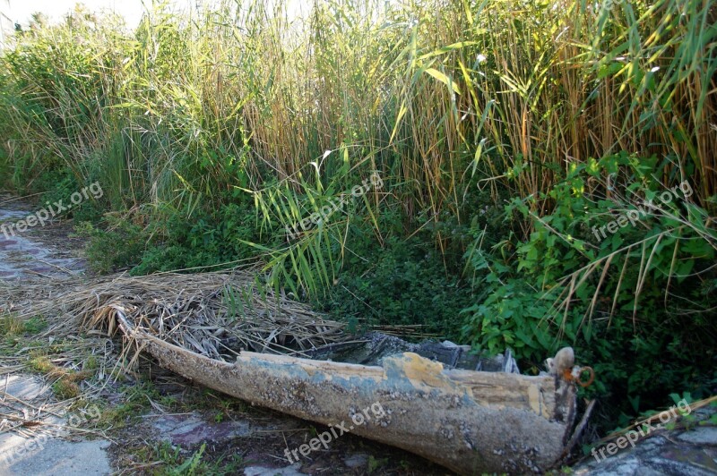 Rowboat The Wreck Of The Wreck Old Reeds