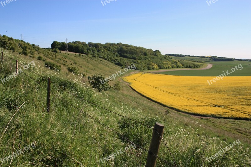 Wiltshire Down Land Rape Oilseed Agricultural