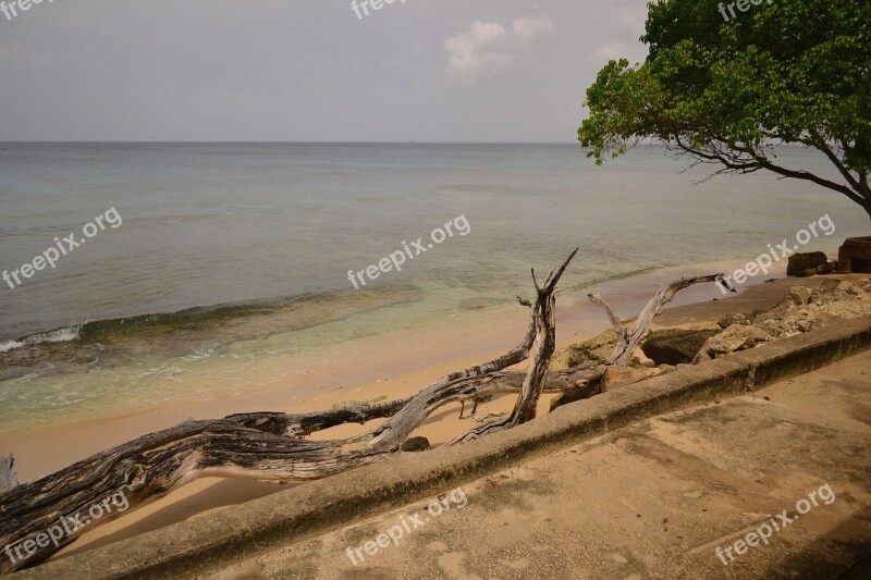 Barbados Sea Coast Beach Paradise