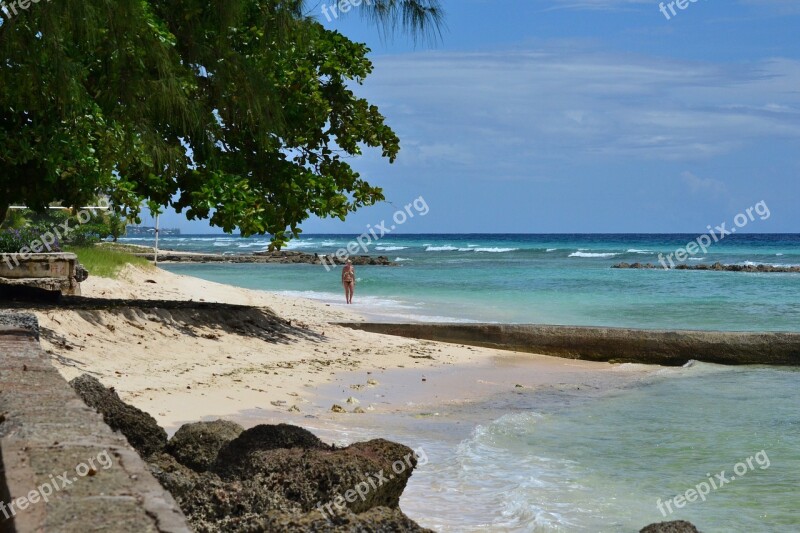 Barbados Beach Palm Trees Coast Sea