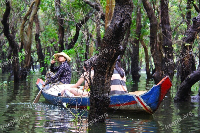 Floating Forest Floating Forest Green Trees