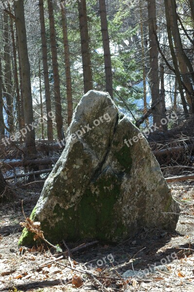 Stone Magic Triangle Forest Free Photos