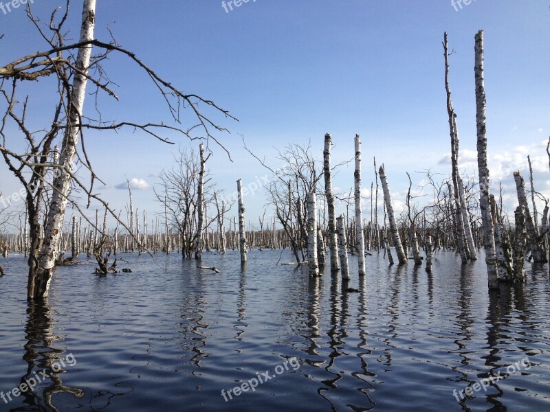 Lake Tree Nature Bank Water