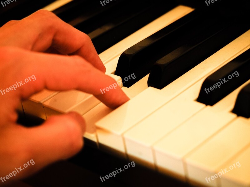 Piano Hand Piano Keys Music Instrument