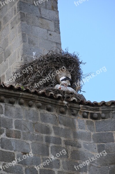 Bell Tower Stork City Facade Spain