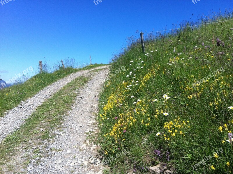 Mountain Path Summer Sun Hiking Trail Mountains