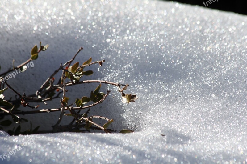 Snow Sun Mountain Landscape Sunny Day Winter