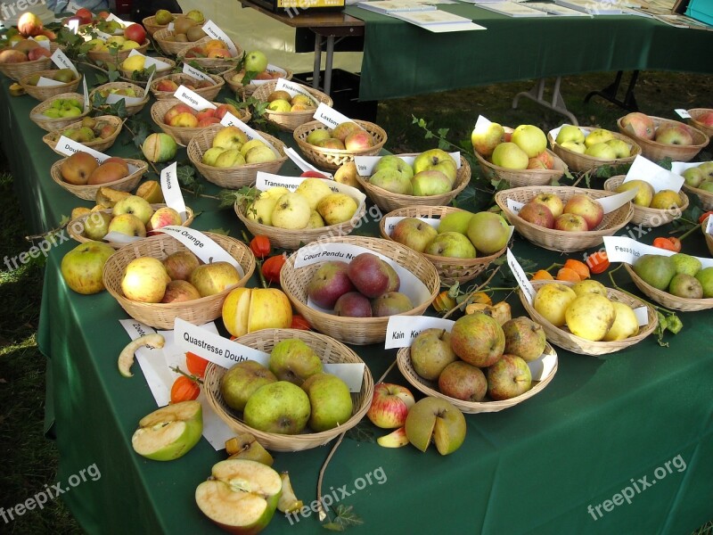 Apples Fruit Fruits Pomology Fruit Recognition