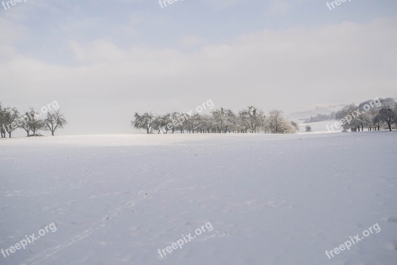 Cold Winter Landscape Snow Winter Trees Nature Landscape