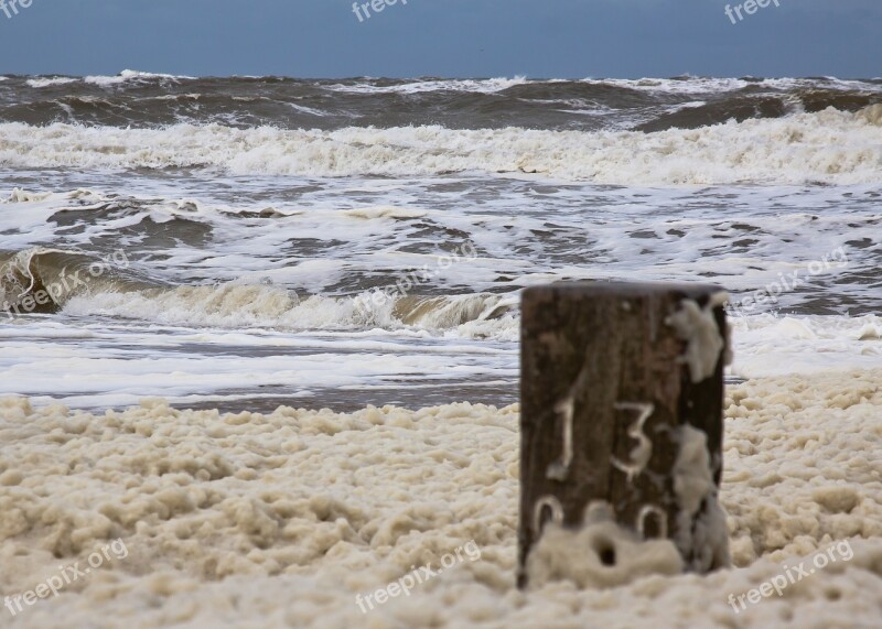 Sea North Sea Holland Coast Water