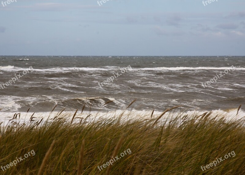 Sea North Sea Holland Coast Water