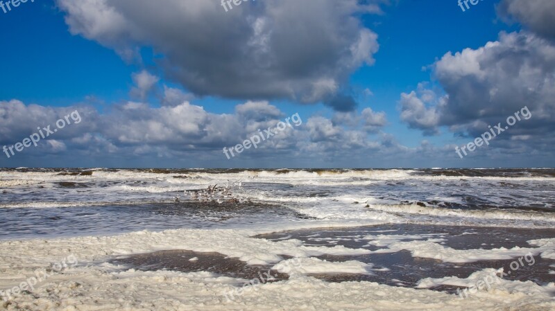 Sea North Sea Holland Coast Water