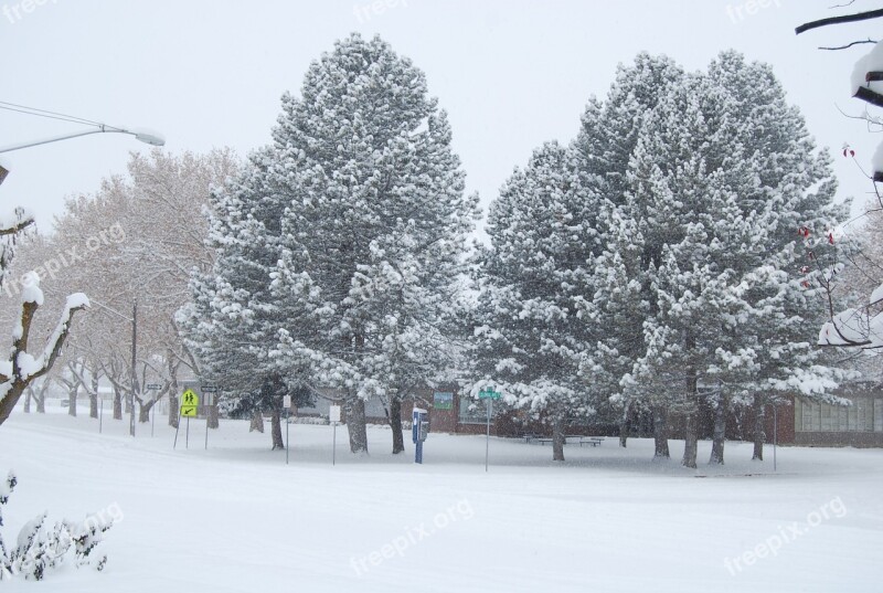 Snow Winter White Cold Nature