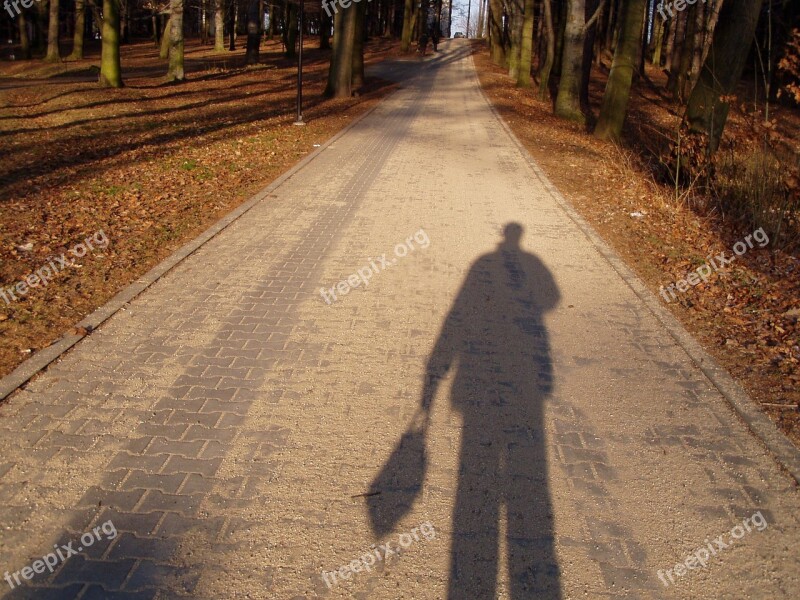 Jihlava Shading Autumn Free Photos