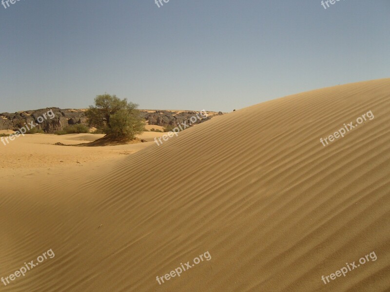 Desert Algeria Sahara Sand Dunes