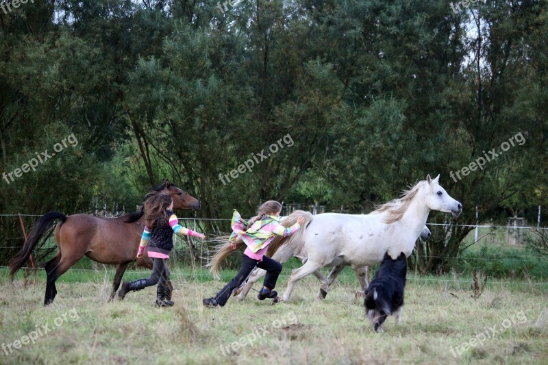 Horse Girl Friendship Play Race