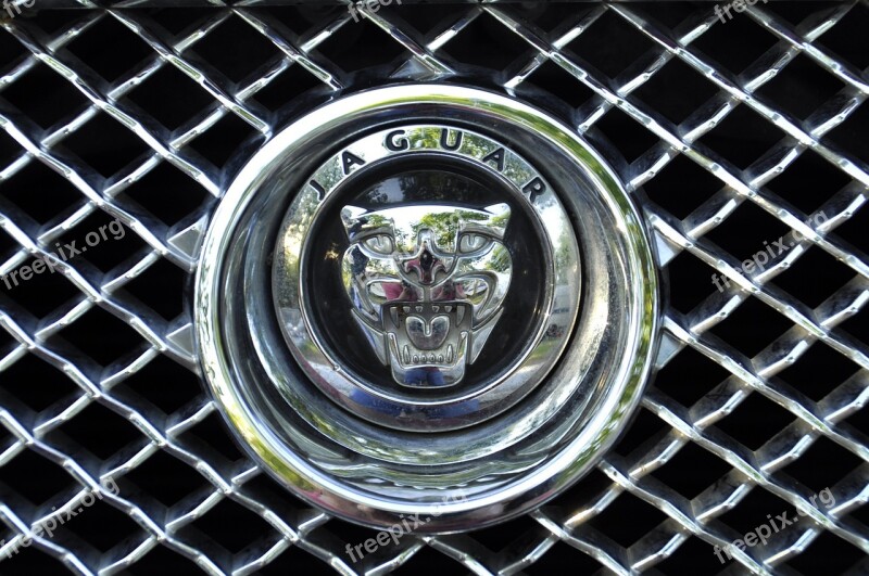 Car Character Jaguar Silver Logo