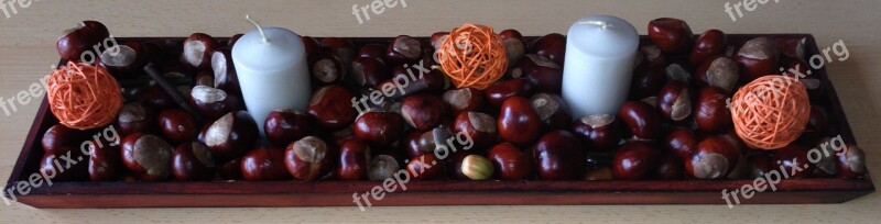 Chestnut Arrangement Nature Autumn Deco