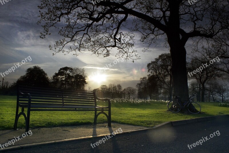 Park Bench Golden Hour Sunlight