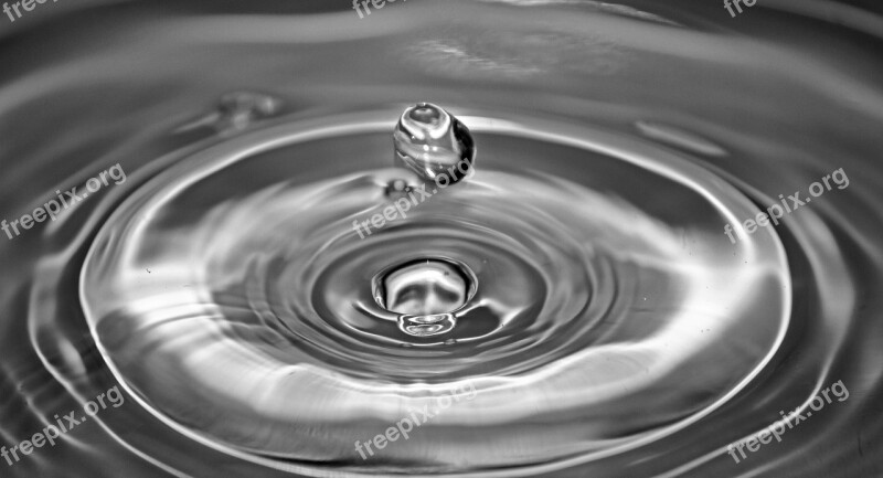 Water Droplet Art Black And