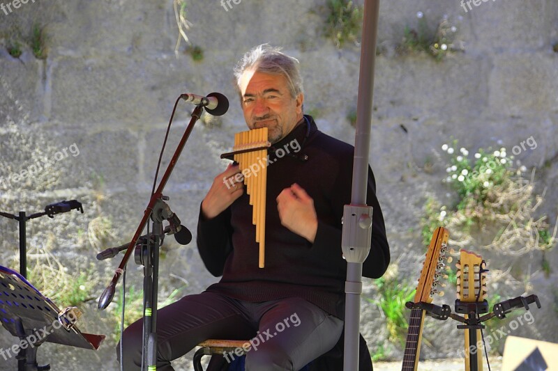 Musician Artist Pan Flute Street Artist Concert