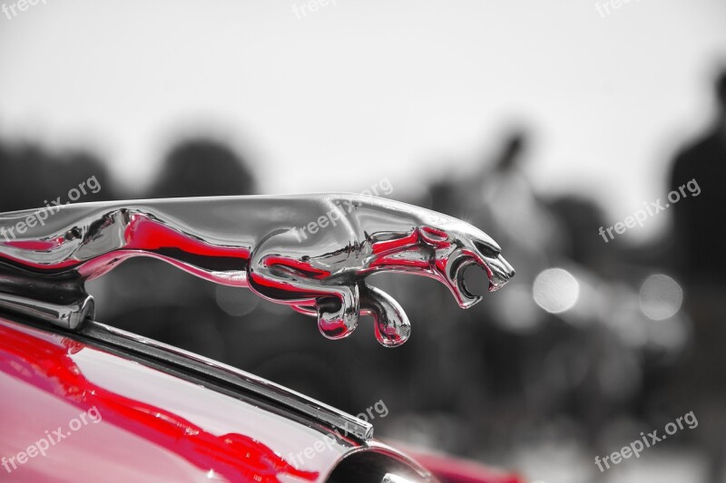 Jaguar Hood Car Money Ornament