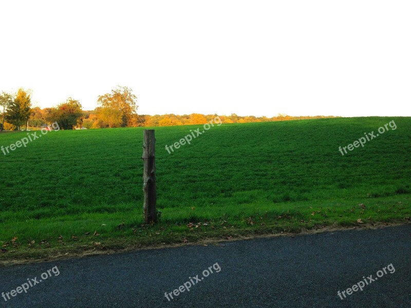 Meadow Green Nature Grass Field