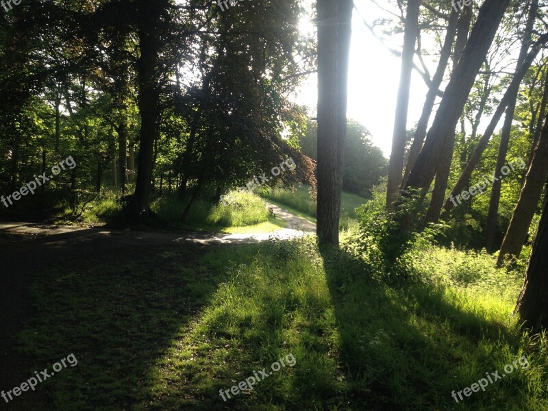 Evening Nature Beautiful Landscape Footpath Path