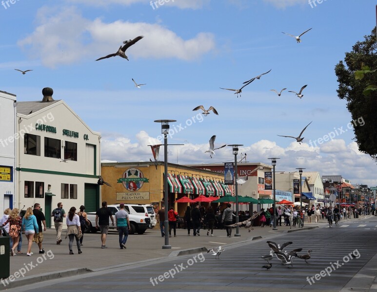 Monterey California Seascape Tourism Promenade