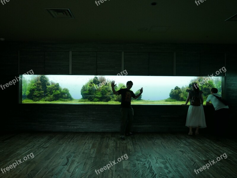 Silhouette Fish Tank Tokyo Dark Aquarium