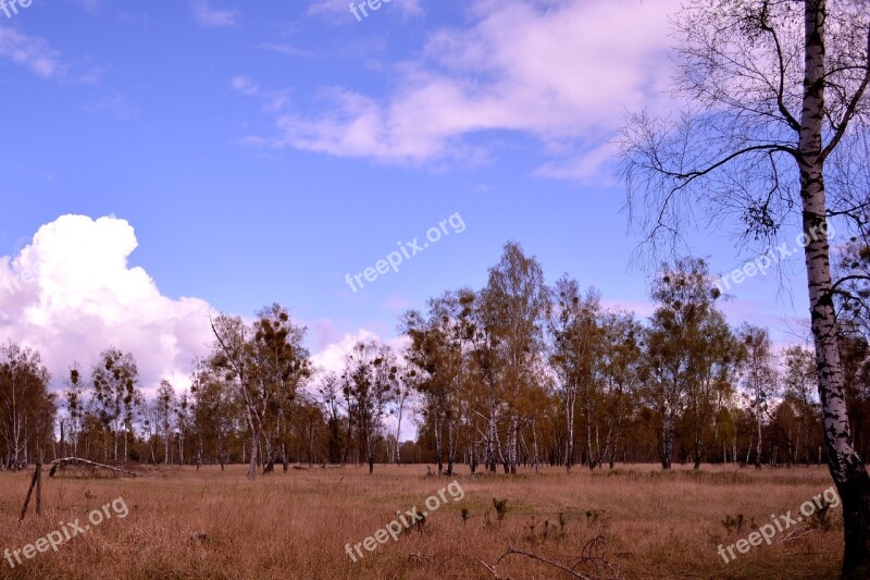 Landscape Steppe Drought Nature Wide