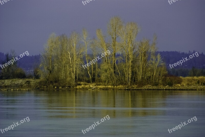 River Shore Fall Color Sauvie Island