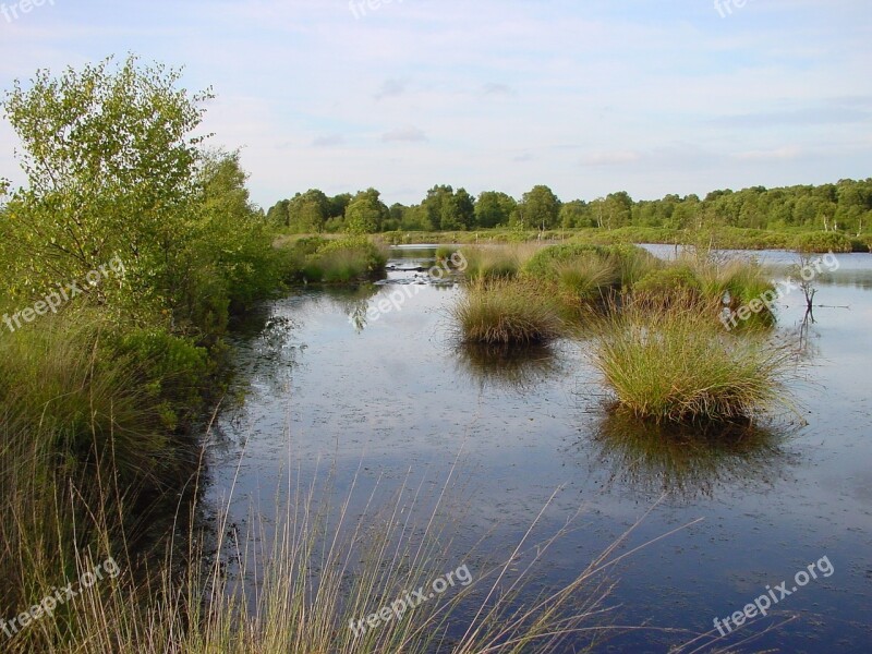 East Frisia Moor Lake Art Feather