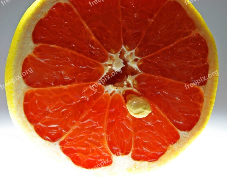 Blood Orange Fruit Disc Fresh Cut