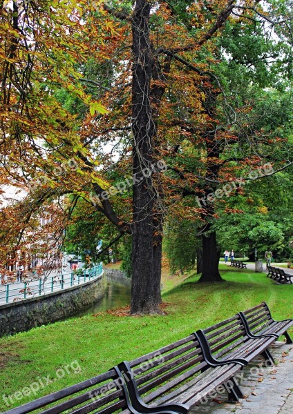 Landscape Trees Nature Bench The Practice Of