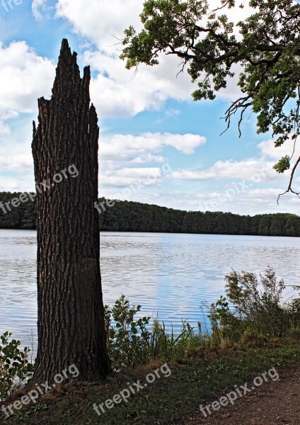 Strain Water Pond Landscape Free Photos