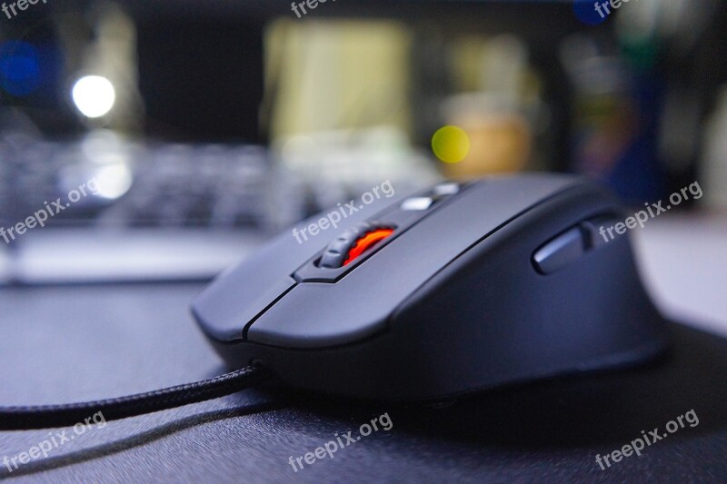 Mouse Computer Mouse Information Technology Free Photos