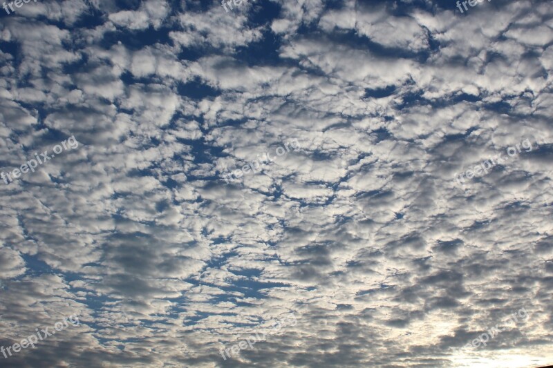 White Cloud Sky Clouds Free Photos